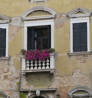 Window Box